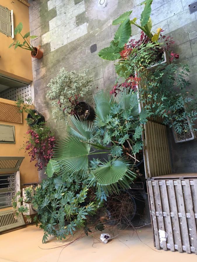 Heart Of Nice Harboor Cosy And Central Exterior photo